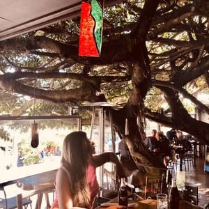 Meet your Posher, Razina